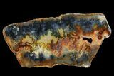 Polished Trent Agate With Stibnite & Realgar - Oregon #184758-1
